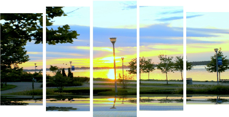Picture